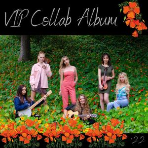 VIP Collab Album '22 (Explicit)