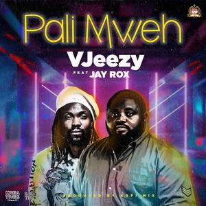 Pali mweh (feat. Jay rox) [Explicit]