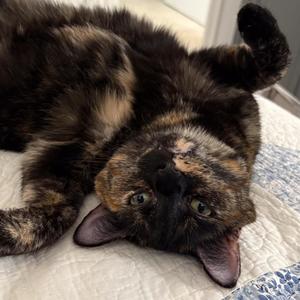 like it that way (Explicit)