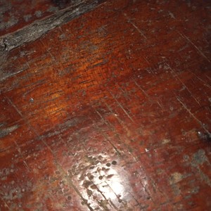 Mungkinkah kita bertahan