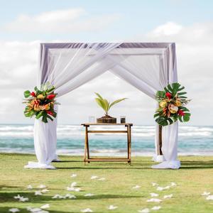 Me trashegime Kevin & Aleksandra