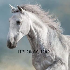 It's Okay, Too (feat. catrica) (Explicit)