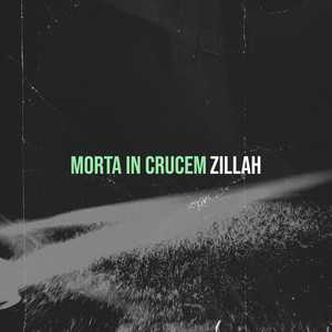 Zillah - White Noise Elusion