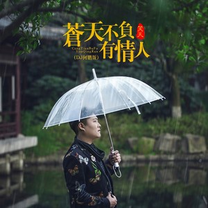 苍天不负有情人 (DJ何鹏版)封面