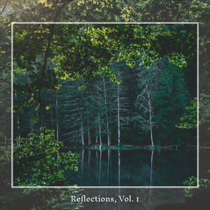 Mist Under the Animation - Mixed