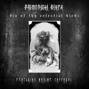 Din of Thy Celestial Birds (feat. Maxime Taccardi)