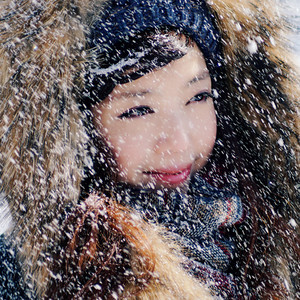 我爱故乡的雪柳