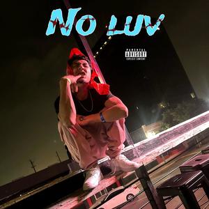 NO LUV (Explicit)