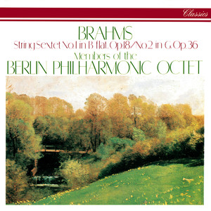 String Sextet No. 1 in B-Flat Major, Op. 18 - 1. Allegro ma non troppo