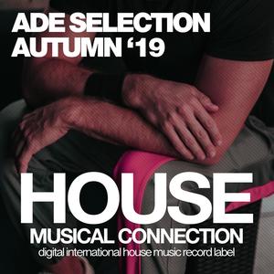 Several Days (VIP Dub Mix)
