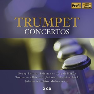 Trumpet Concerto No. 17 in E-Flat Major, Hob.VIIe:1 - III. Finale: Allegro