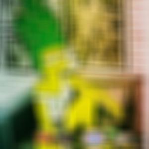 MELO DE PRINCESA CARINHOSA (feat. Pancadão Mega Laser)