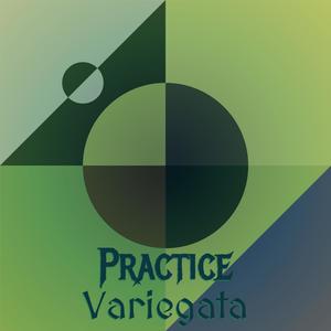 Practice Variegata