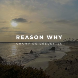 Reason Why