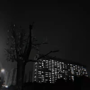 森林