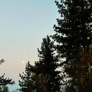 embers (feat. getbetter)