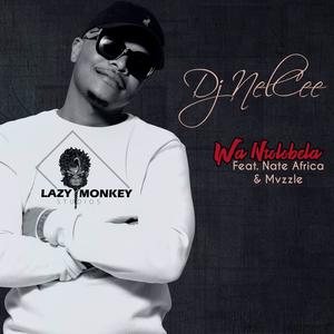 Wan'tolobela(feat. Nate Africa & Mvzzle)