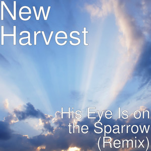 His Eye Is on the Sparrow (Remix)