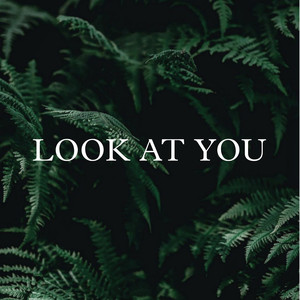 Look at You