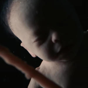 Dictator Tifu (feat. Mvxxpayne) (Explicit)