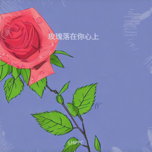 玫瑰落在你心上