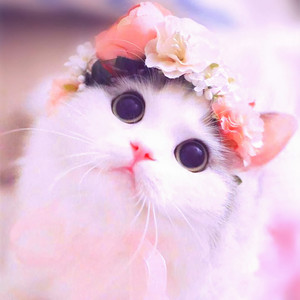 Thế Giới Vô Vị