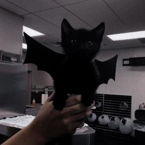 WITCHBLADES (feat. discent)