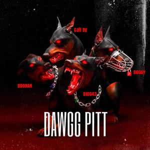 DAWG PITT (Explicit)