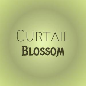 Curtail Blossom