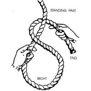 Social Suicide (Explicit)