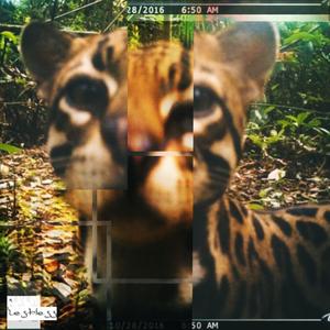 Estafa cotidiana (feat. Zenno) (Explicit)