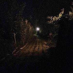 Angelic (feat. V1OLET) (Explicit)