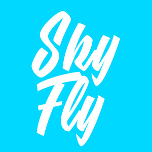 Sky Fly