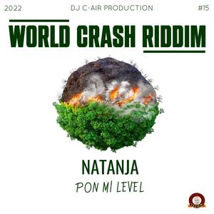 PON MI LEVEL