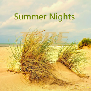 Summer Nights (Radio Edit)