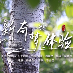 新奇dream体验