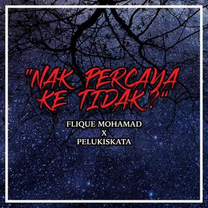 Nak Percaya Ke Tidak? (feat. Pelukiskata)