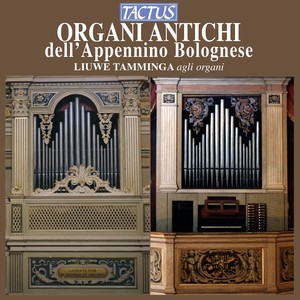 Organ Recital: Tamminga, Liuwe - SCHEIDT, S. / MARTINI, G.B. / PALMERINI, L. / DONIZETTI, G. (Organi Antichi dell'Appennino Bolognese)