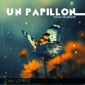 Un papillon sous la pluie (Pièces émouvantes pour piano)