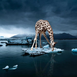 Once I Saw a Giraffe in Alaska (Explicit)