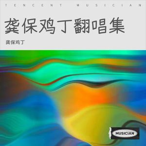 龚保鸡丁 - 小宇