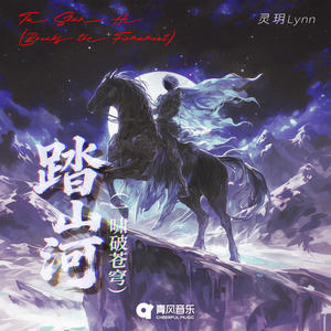 踏山河 (一啸破苍穹)封面