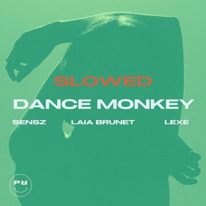 Dance Monkey (Slowed)