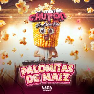 Palomitas de maiz