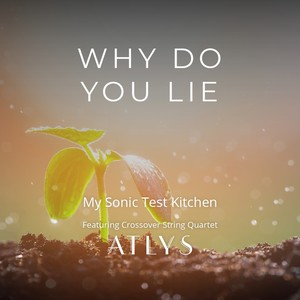 Why Do You Lie(feat. ATLYS & Debbie Tjong)