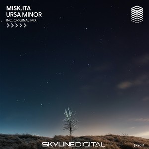 Ursa Minor (Original Mix)