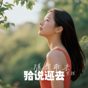 随你而去 - 李堂胜封面