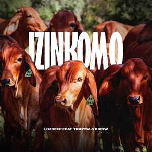 Izinkomo (feat. TiggySA & Kirow)