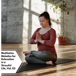 Meditation Melodies For Relaxation In A Stressful Life, Vol. 03