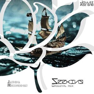 Seeking (Original Mix)